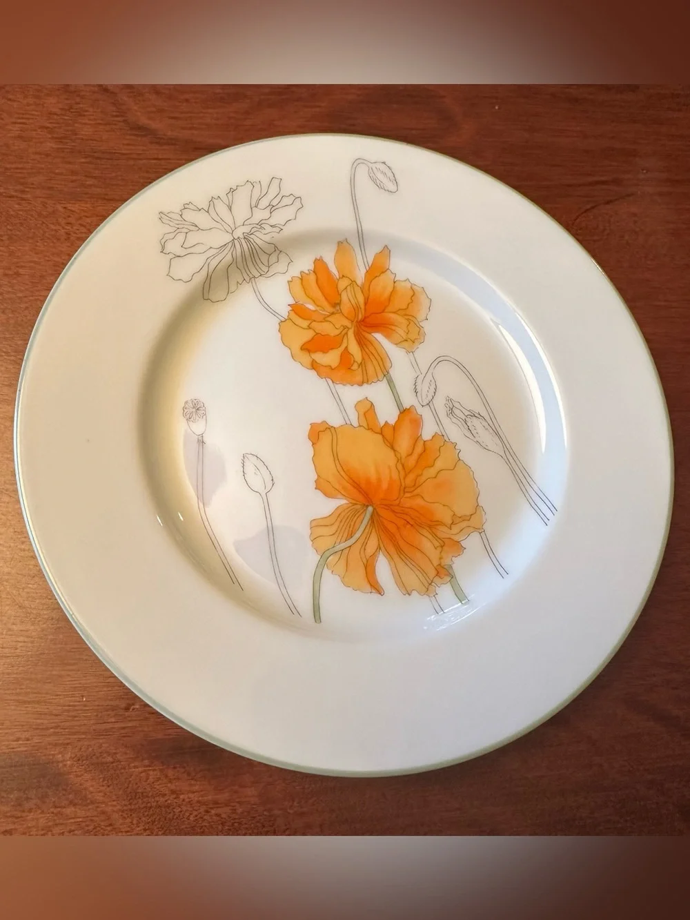 Set of 6 Watercolors Block Spal Geranium Poppy Rose + Bread/Dessert Plates 6.25